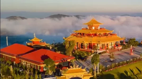Tour 3N3Đ Hồ Chí Minh - Đà Lạt Ngàn Hoa - Tết 2024