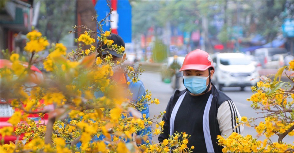 Tết Nguyên Đán 2025: Lịch Nghỉ Dành Cho Người Lao Động