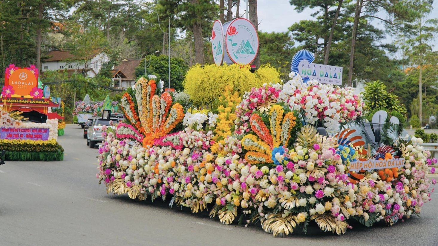 Háo Hức Chờ Đợi Festival Hoa Đà Lạt 2024 Lần 10 [06-31/12/2024]