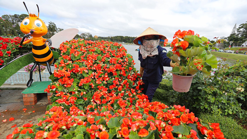 Háo Hức Chờ Đợi Festival Hoa Đà Lạt 2024 Lần 10 [06-31/12/2024]