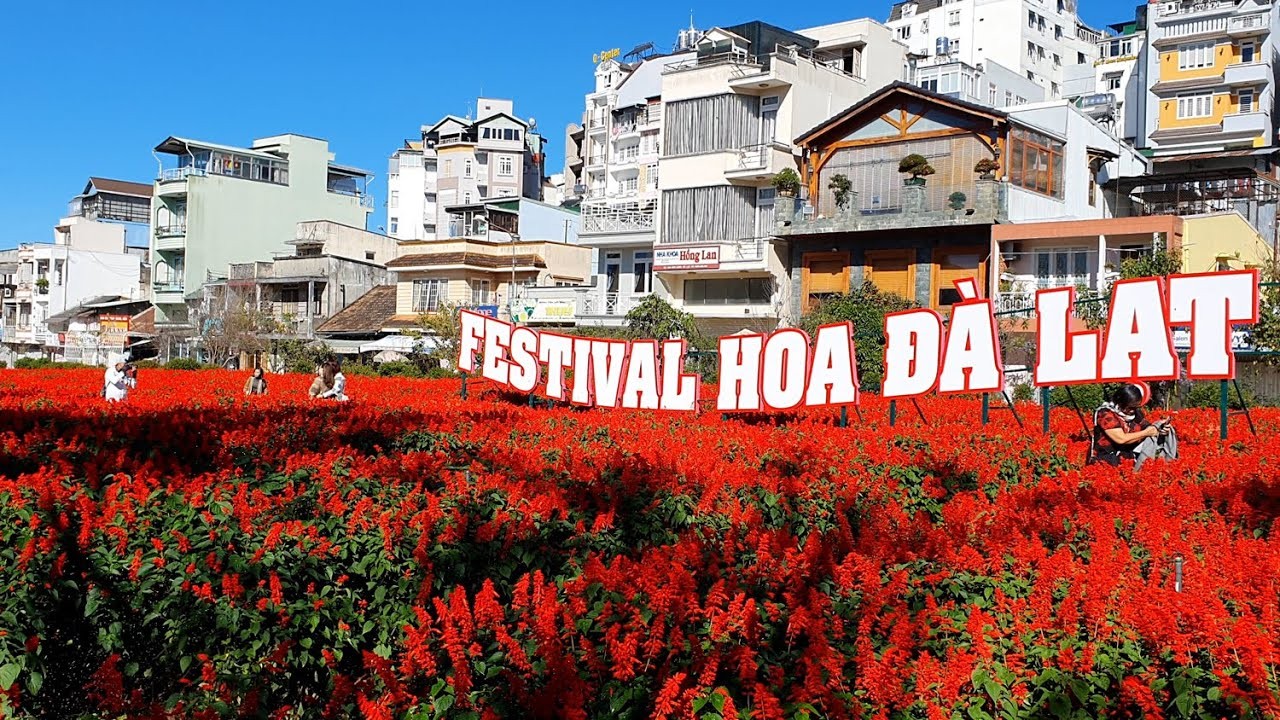 Háo Hức Chờ Đợi Festival Hoa Đà Lạt 2024 Lần 10 [06-31/12/2024]