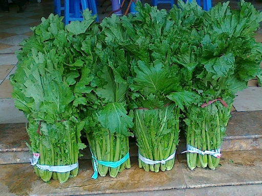 Rau củ Tây Bắc