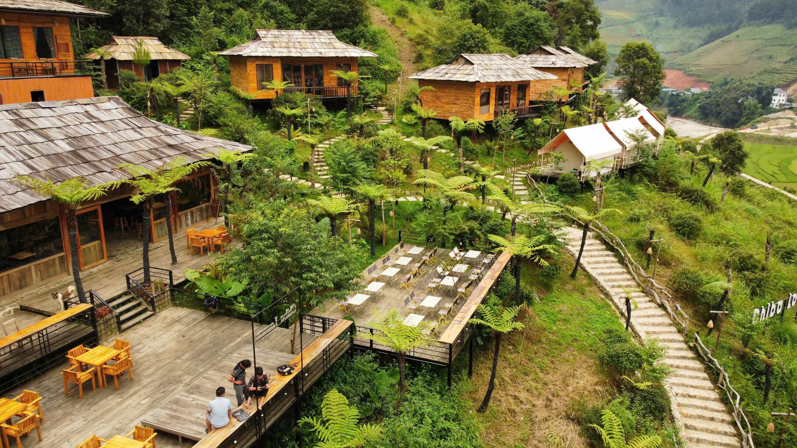 Chỉ tháng 11 ở Mù Cang Chải mới có: Cảnh tượng khiến khách du lịch đứng lặng người