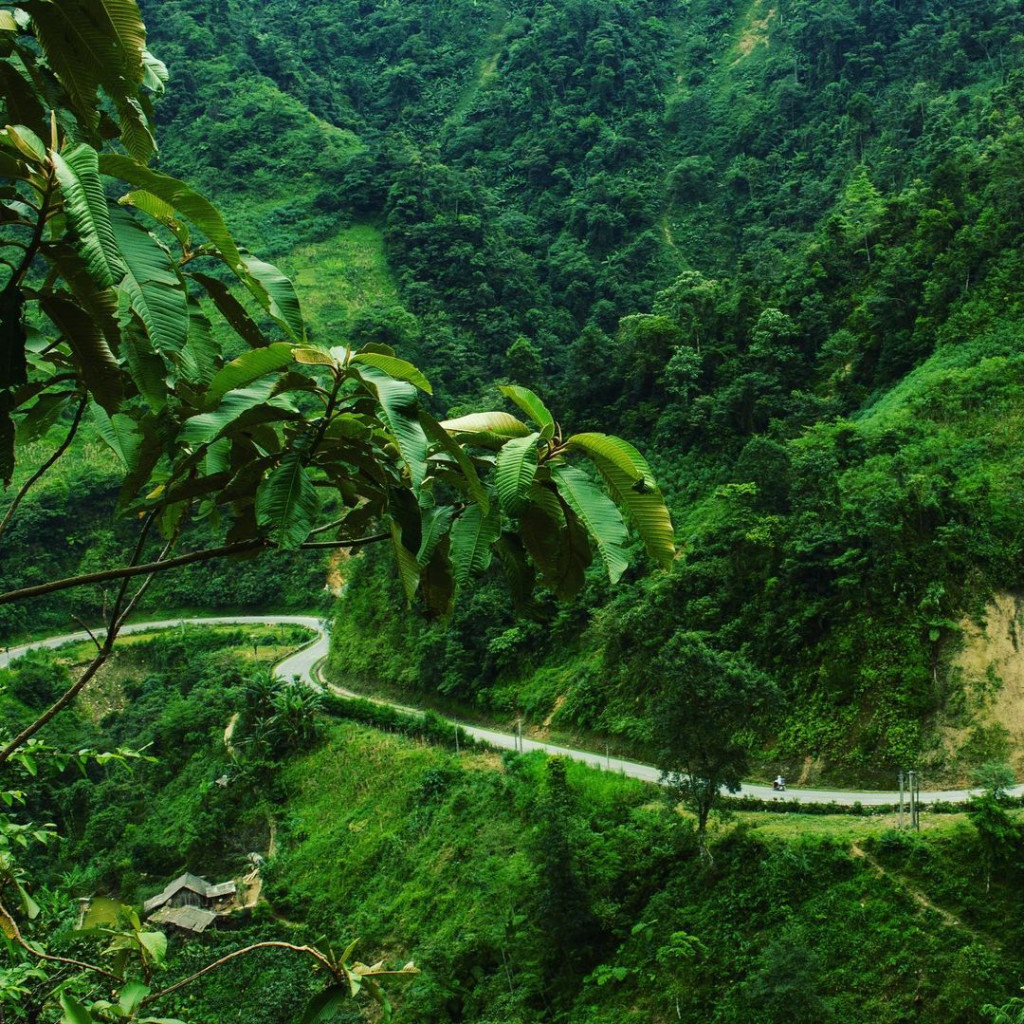 Bỏ Túi Đèo Khau Phạ Mù Cang Chải, Kinh Nghiệm Lần Đầu Chinh Phục Cho Người Mới