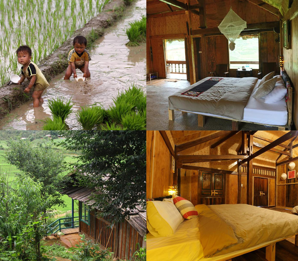 Đi Mù Cang Chải ở đâu? Gợi ý chỗ nghỉ lý tưởng cho từng kiểu du khách