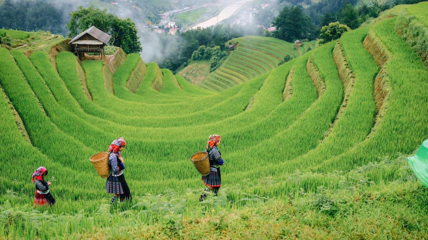 La Pán Tẩn Mù Cang Chải A-Z Lộ Trình “Lần Đầu Đi” Mà Ai Cũng Cần