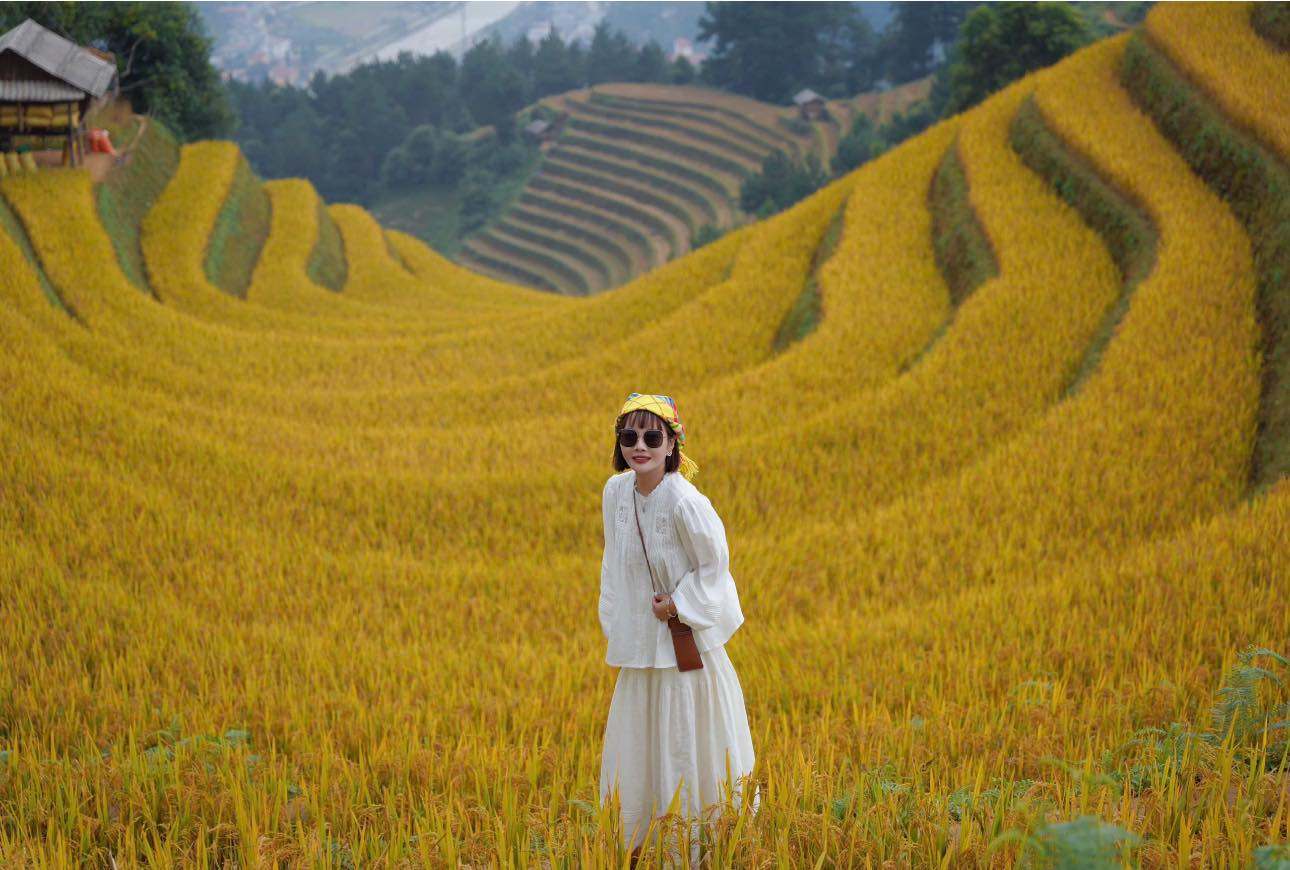 Mù Cang Chải Tháng 11 Có Gì? Gợi Ý Khách Sạn Đẹp, View Ruộng Bậc Thang Cực Chill