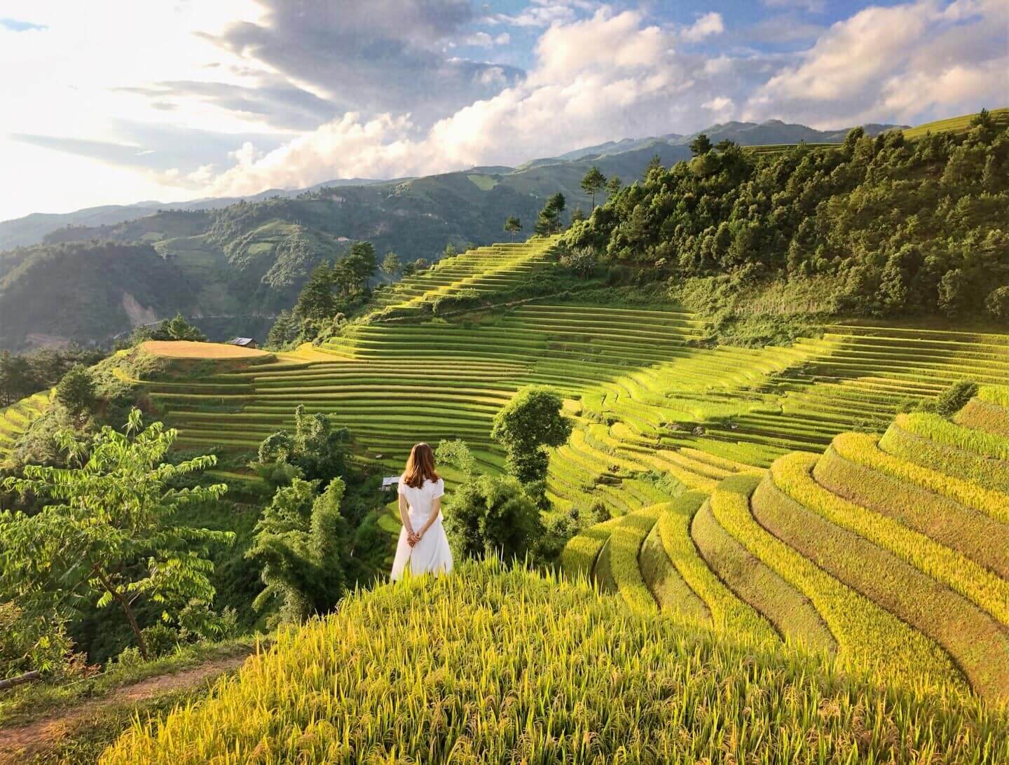 Mù Cang Chải Tháng 11 Có Gì? Gợi Ý Khách Sạn Đẹp, View Ruộng Bậc Thang Cực Chill