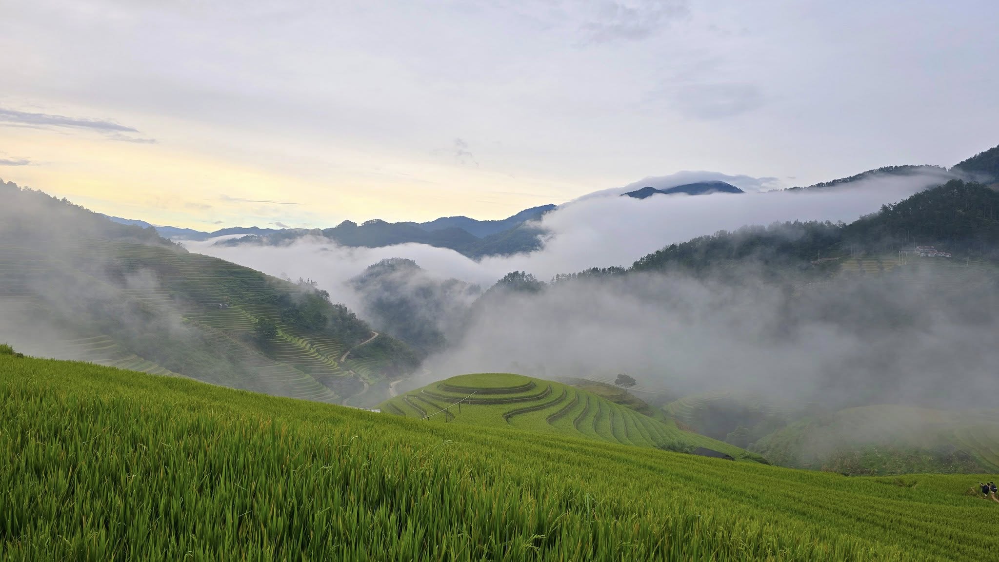 [Mù Cang Chải Tháng 12] Điểm Săn Mây Xịn & Resort Giá Mềm, Chưa Ai Review