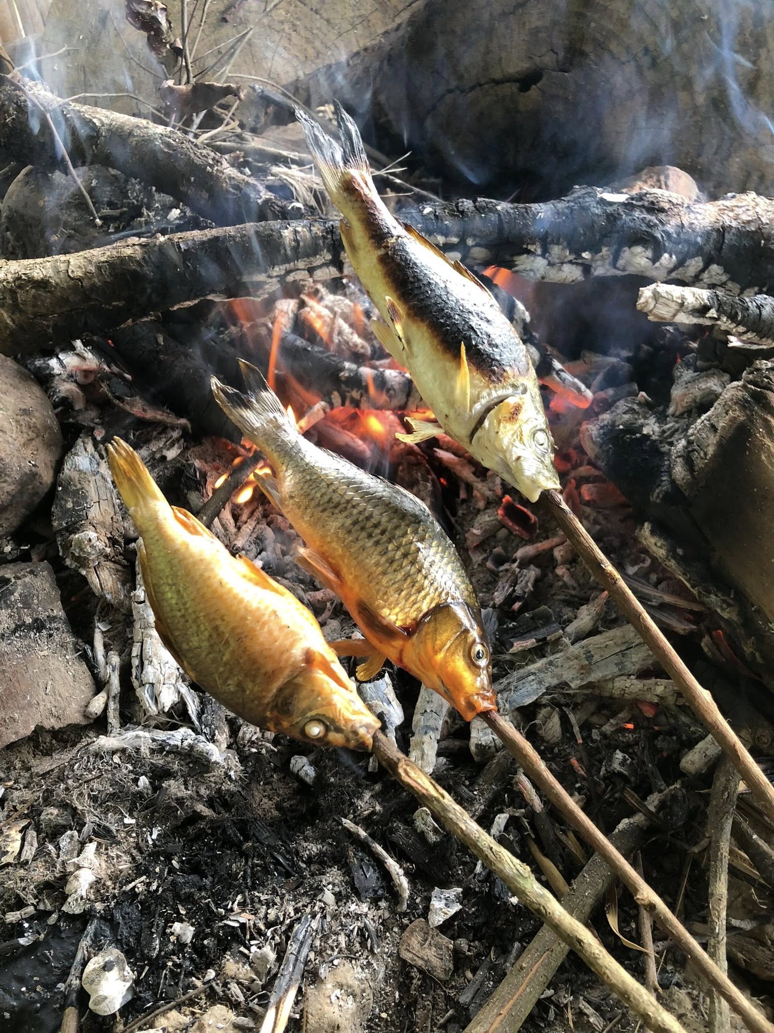 [Mù Cang Chải Tháng 12] Điểm Săn Mây Xịn & Resort Giá Mềm, Chưa Ai Review