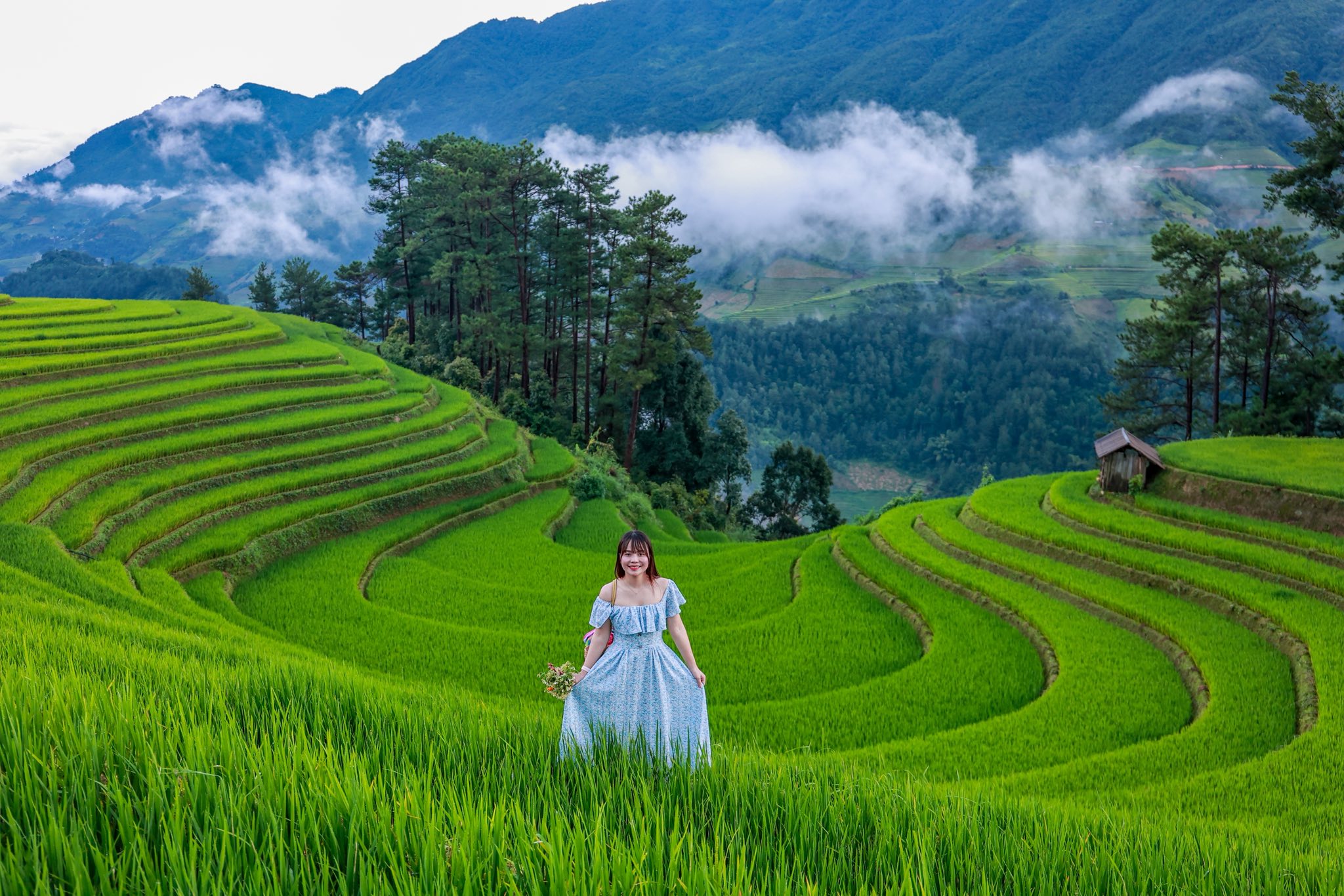 [Mù Cang Chải Tháng 12] Điểm Săn Mây Xịn & Resort Giá Mềm, Chưa Ai Review