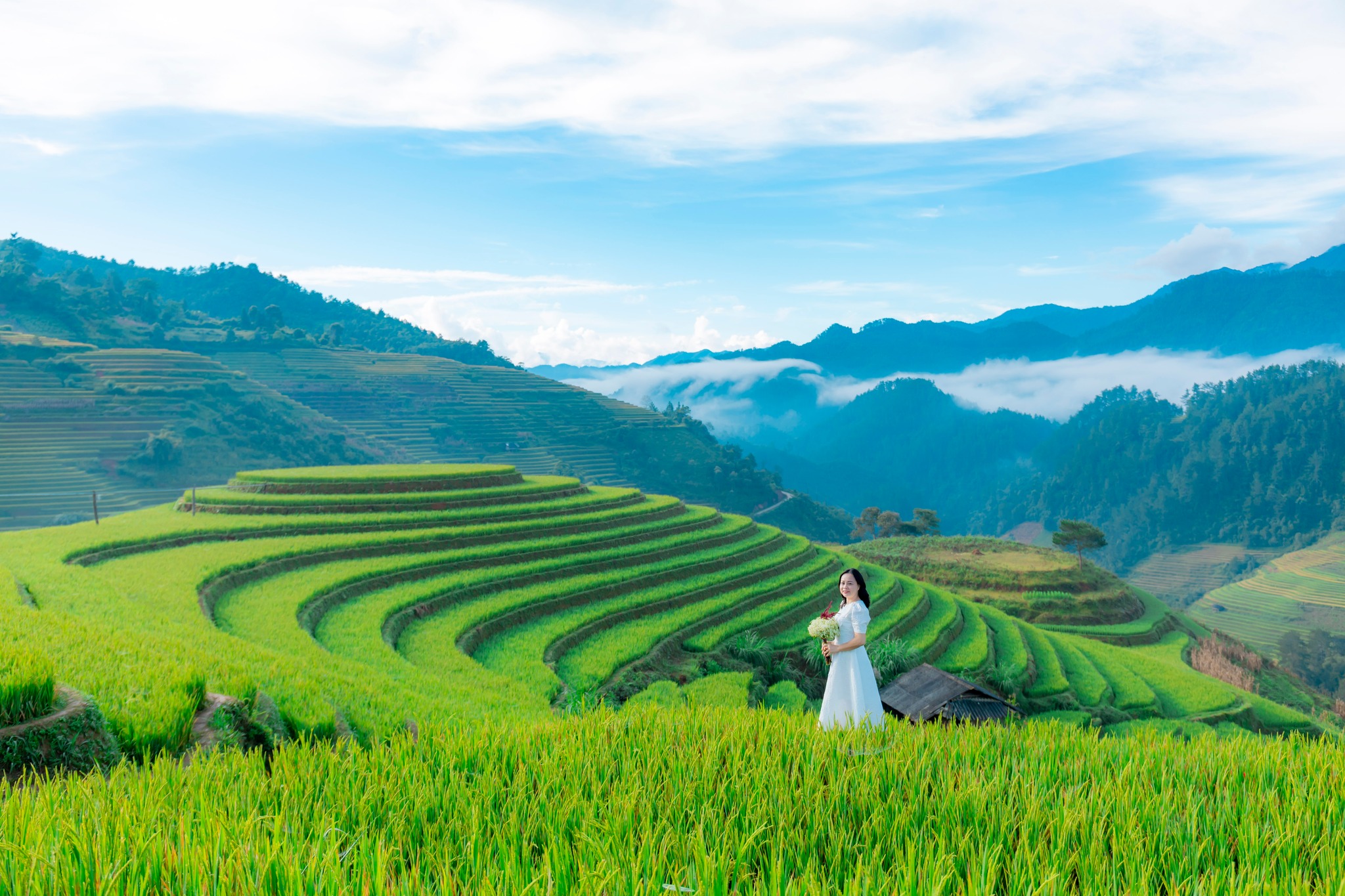 [Tháng 12 Mù Cang Chải] Mùa Săn Mây Đẹp Nhất Năm Đừng Lỡ Giá Resort Rẻ