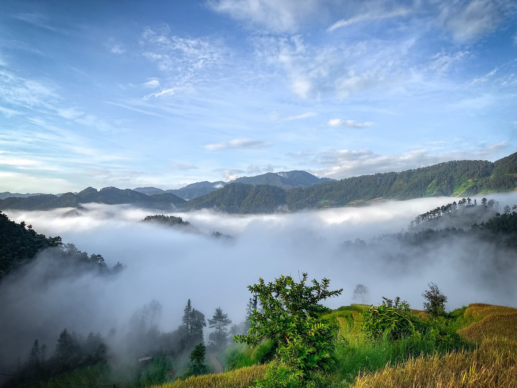 [Mù Cang Chải Tháng 12] Điểm Săn Mây Xịn & Resort Giá Mềm, Chưa Ai Review