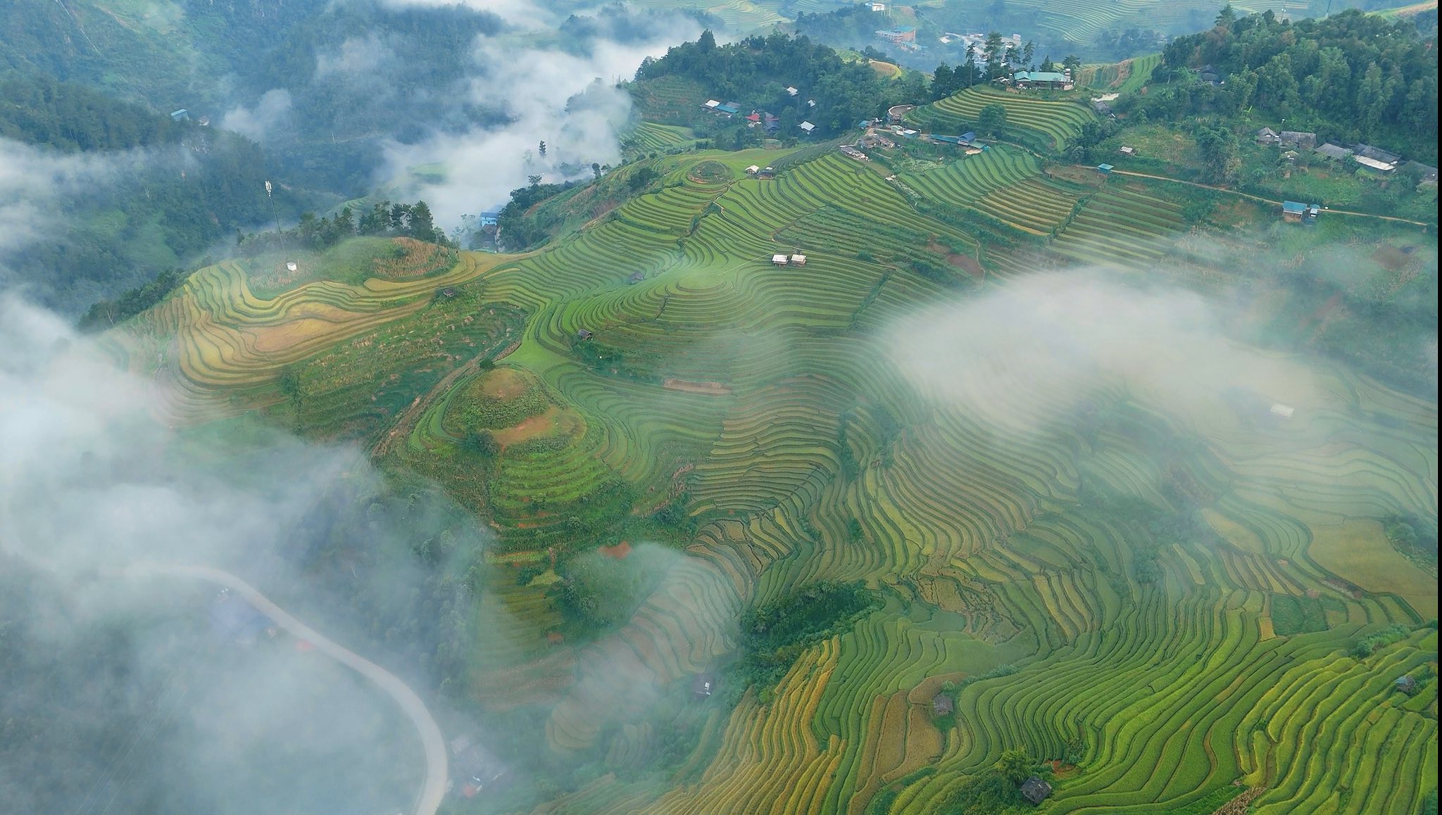 Nghỉ dưỡng & Săn mây Mù Cang Chải tháng 11, 12 món quà cuối năm