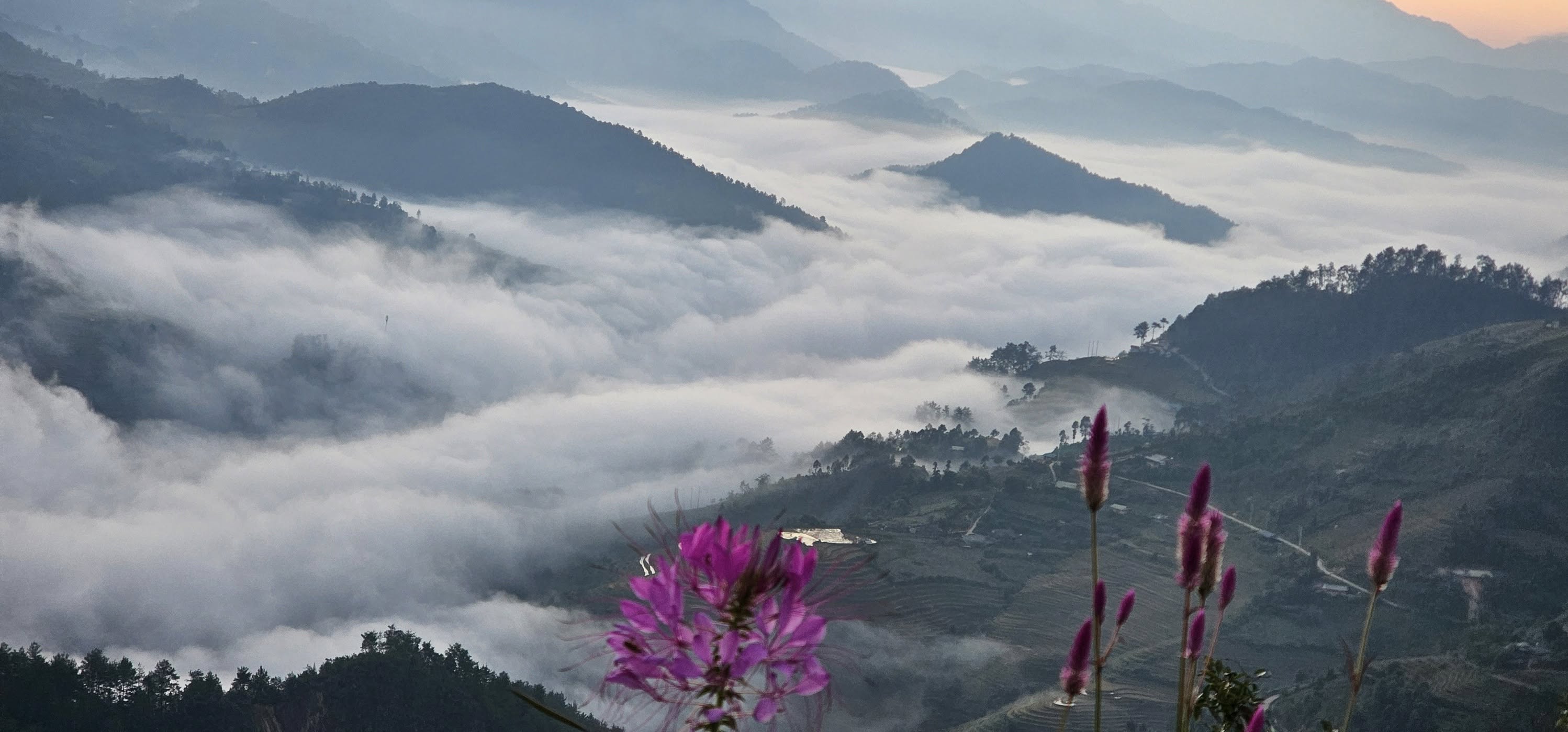 Nghỉ dưỡng & Săn mây Mù Cang Chải tháng 11, 12 món quà cuối năm