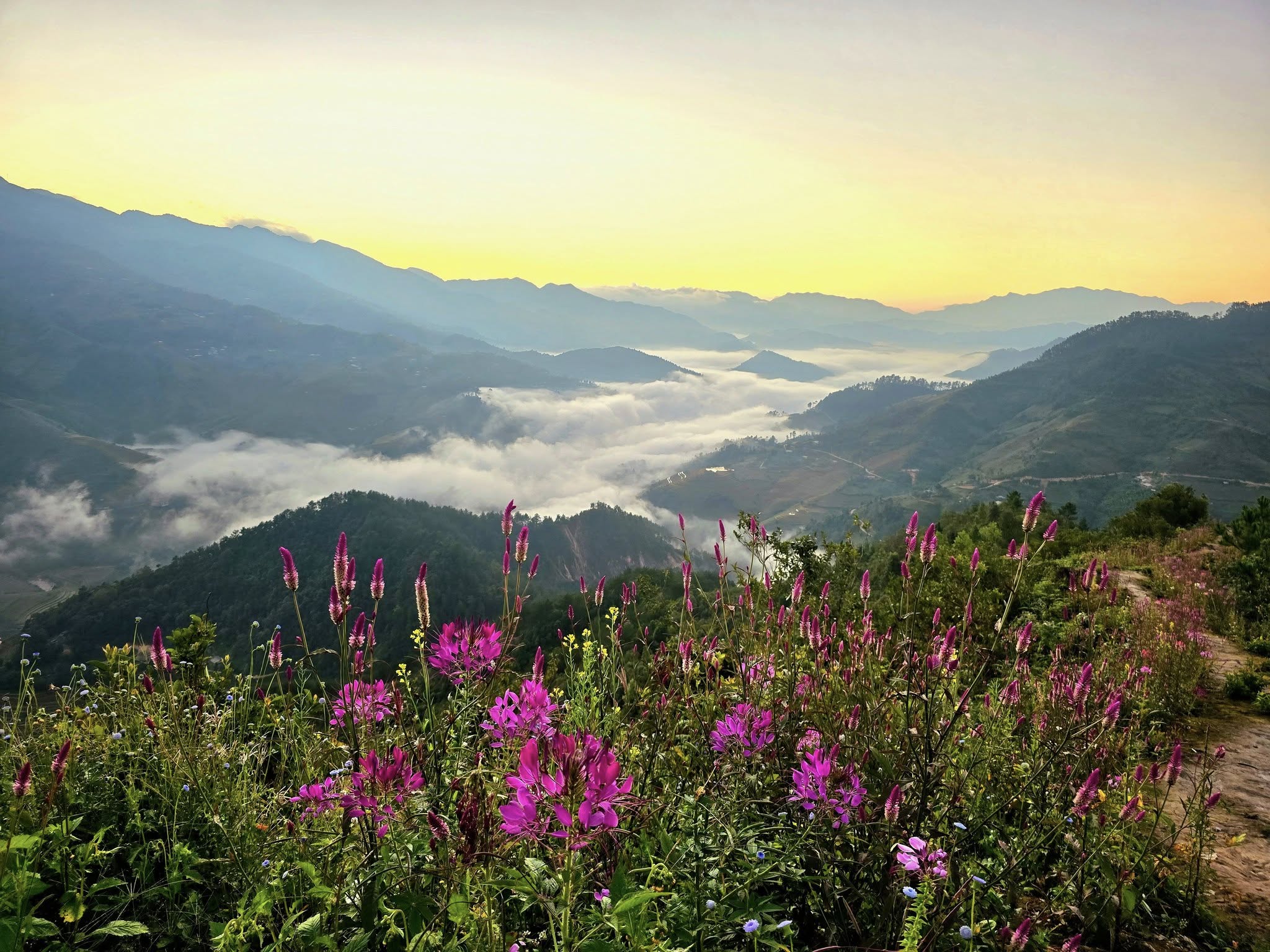 Nghỉ dưỡng & Săn mây Mù Cang Chải tháng 11, 12 món quà cuối năm