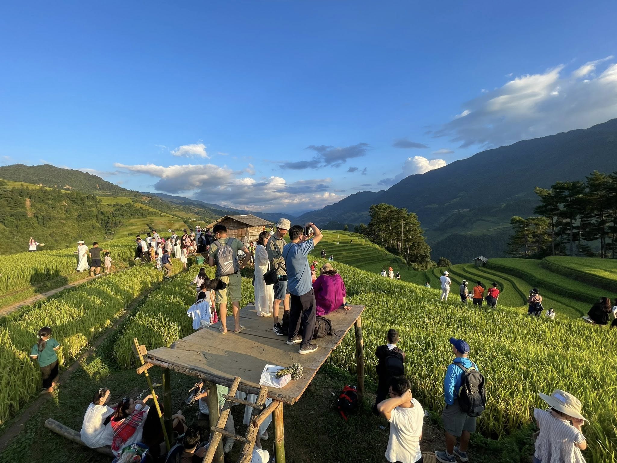 Chỉ tháng 11 ở Mù Cang Chải mới có: Cảnh tượng khiến khách du lịch đứng lặng người