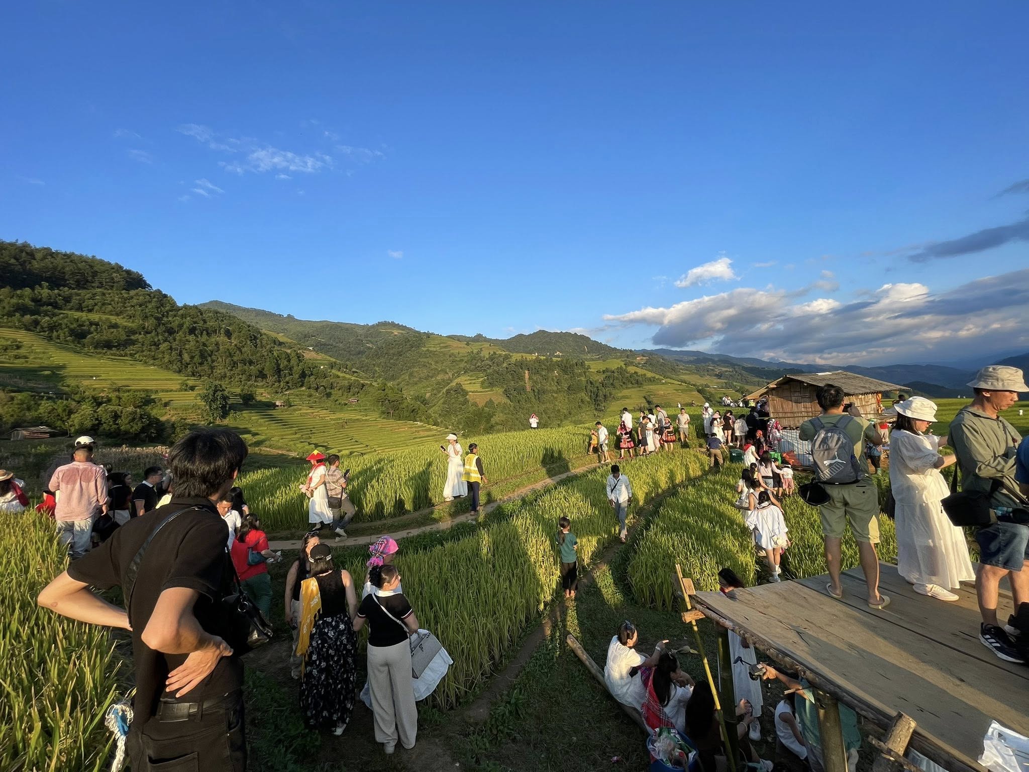 Chỉ tháng 11 ở Mù Cang Chải mới có: Cảnh tượng khiến khách du lịch đứng lặng người