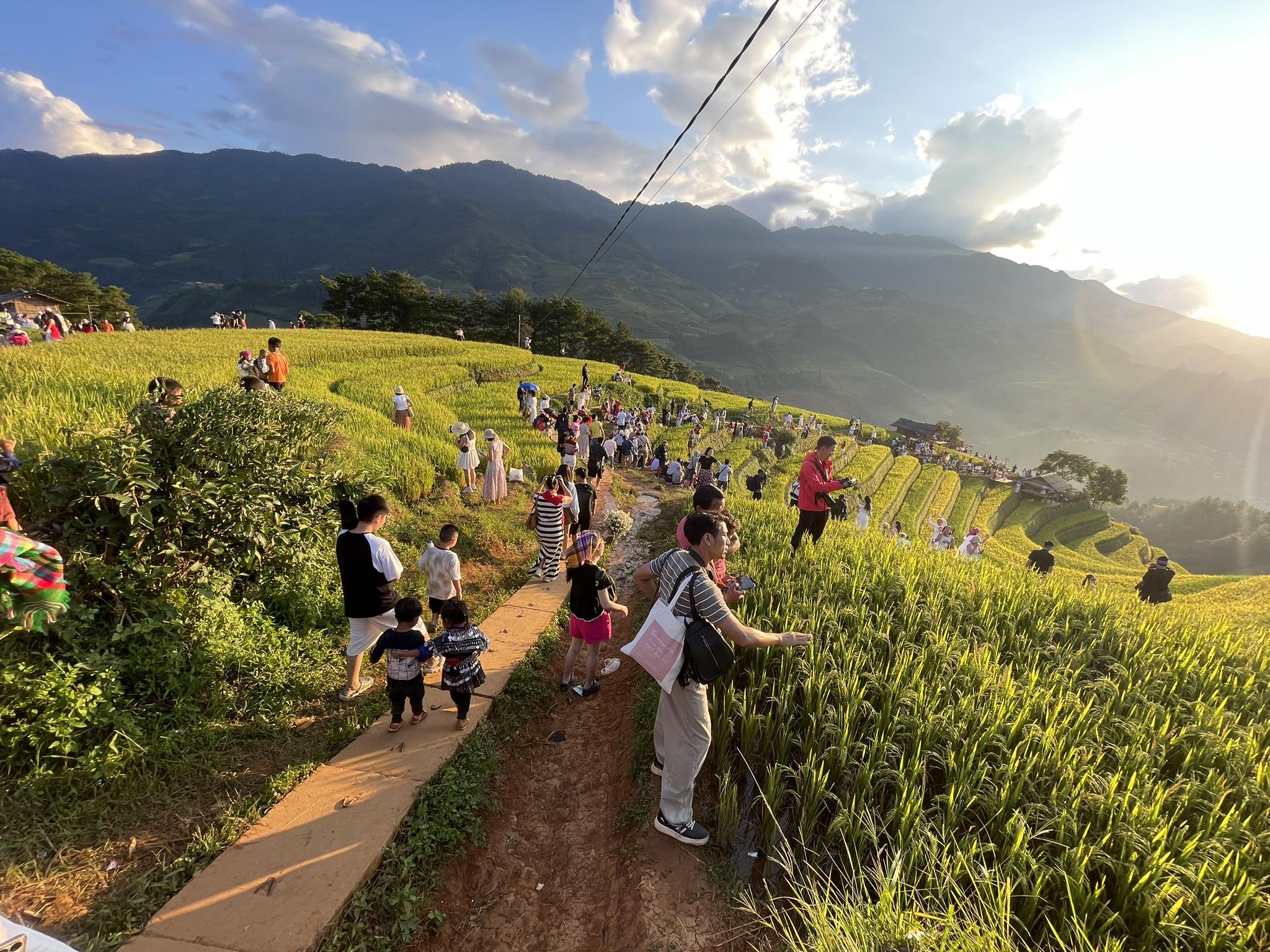 Chỉ tháng 11 ở Mù Cang Chải mới có: Cảnh tượng khiến khách du lịch đứng lặng người