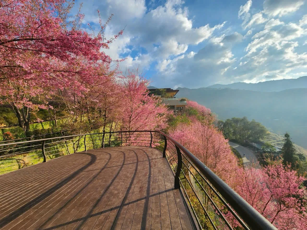 Xu Hướng Du Lịch Tết 2026 Nghỉ Dưỡng Núi & Resort Cao Cấp