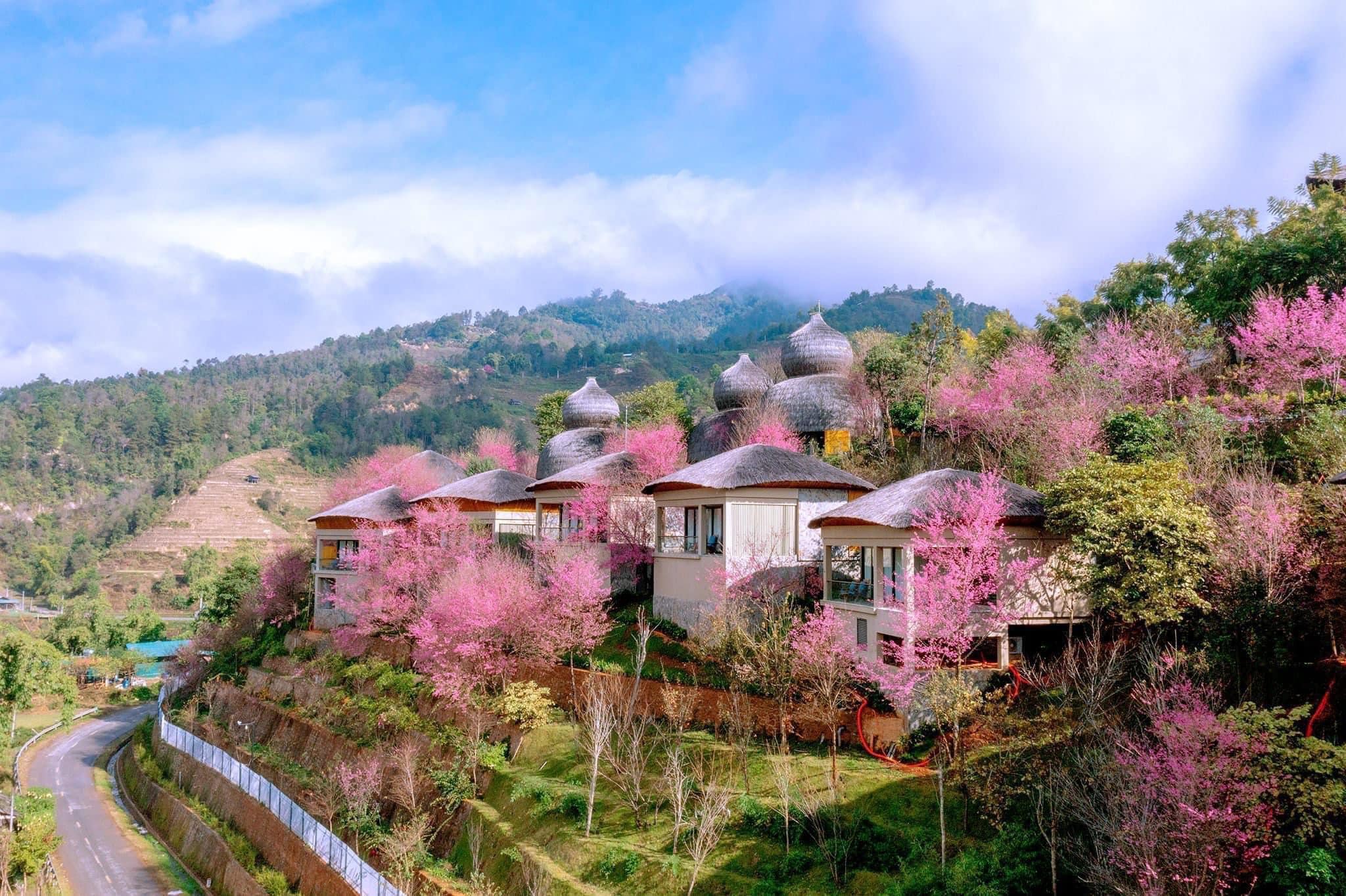 Xu Hướng Du Lịch Tết 2026 Nghỉ Dưỡng Núi & Resort Cao Cấp