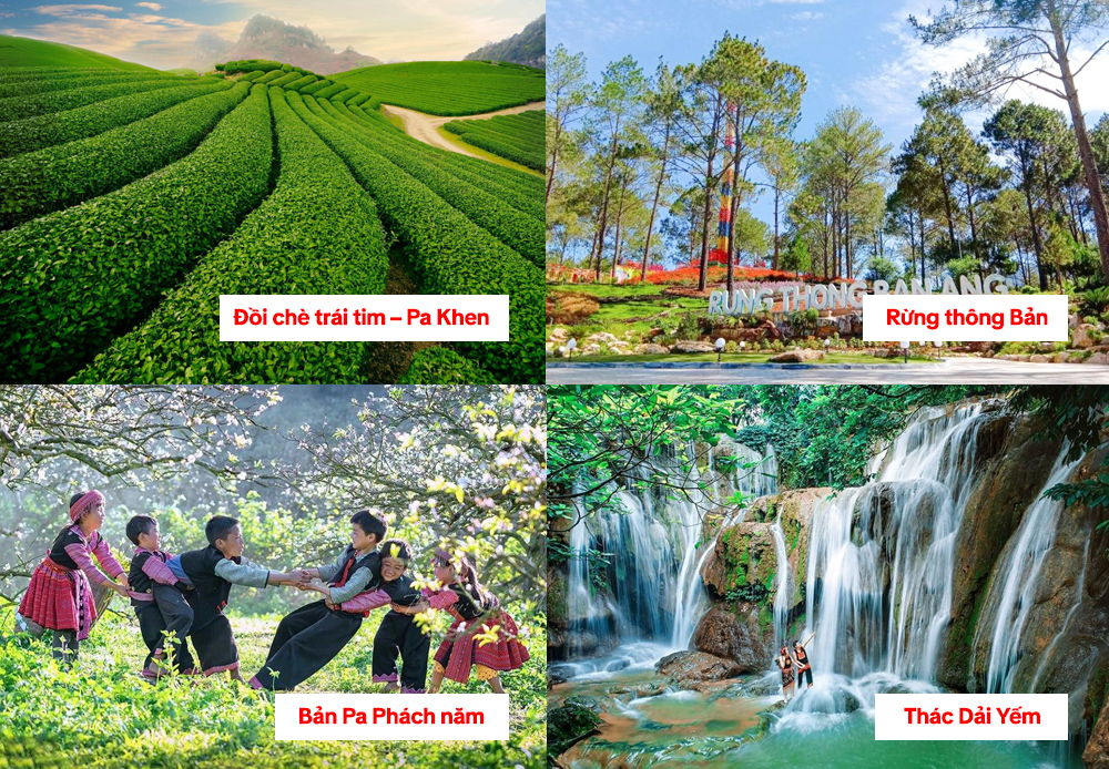 Du Lịch Mộc Châu Tết 2026 Ở Đâu? Vừa Đẹp Vừa Gần Điểm Check-in Hot?