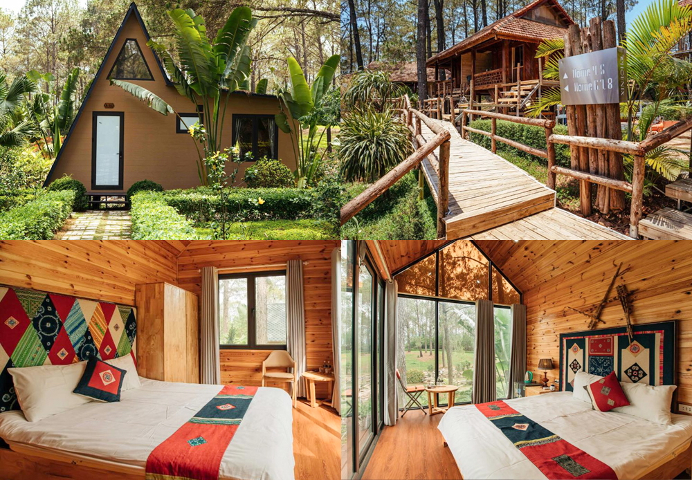 Du Lịch Mộc Châu Tết 2026 Ở Đâu? Vừa Đẹp Vừa Gần Điểm Check-in Hot?