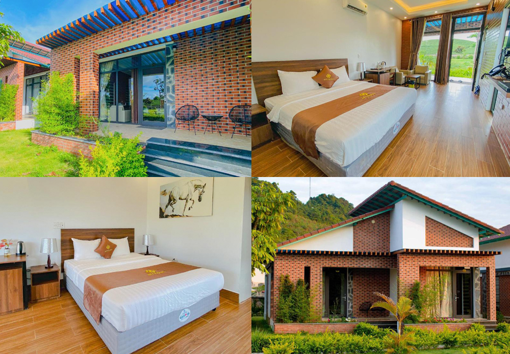 Du Lịch Mộc Châu Tết 2026 Ở Đâu? Vừa Đẹp Vừa Gần Điểm Check-in Hot?