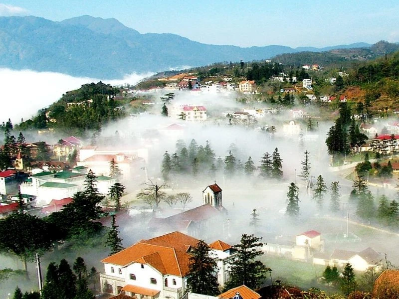 Đố Bạn Biết Bò Tái Kiến Đốt Là Đặc Sản Ở Đâu? Món Ngon Nên Thử Khi Du Lịch Tam Đảo – Vĩnh Phúc Dịp 30/4–1/5 2026