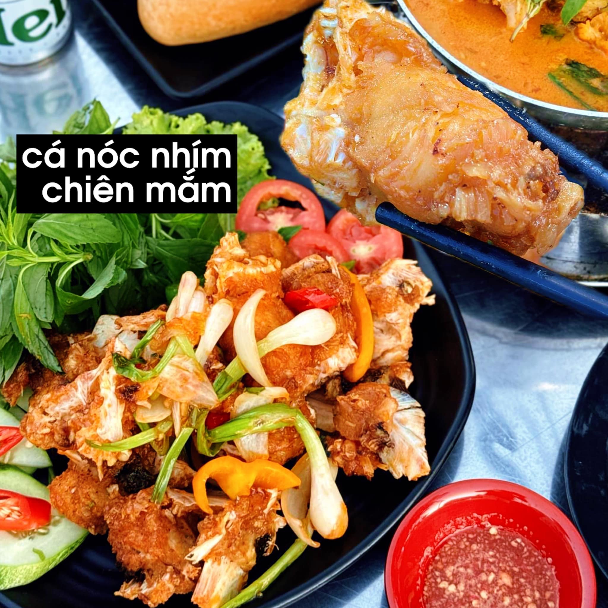 Cá Nóc Nhím – Món Đặc Sản Nha Trang Phải Thử Một Lần Khi Du Lịch Nghỉ Dưỡng 30/4–1/5 2026