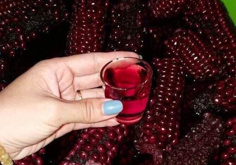 Top Món Độc Lạ SaPa Dịp Lễ 30/4 – 1/5 2026 Nhất Định Phải Thử Khi Nghỉ Dưỡng Giữa Núi Rừng”