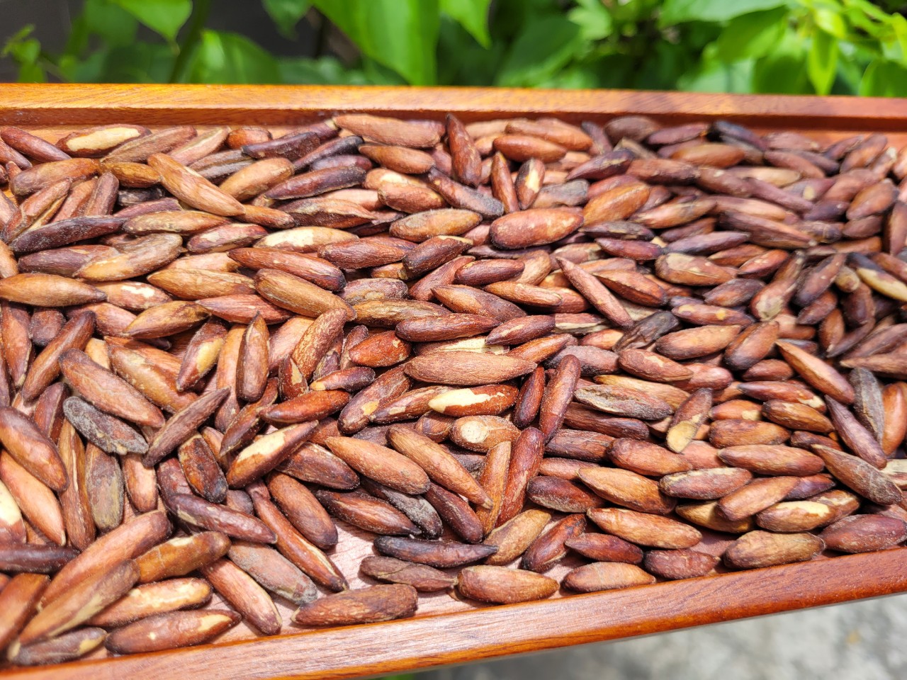 Top món ăn độc lạ Vũng Tàu gây nhớ mãi dịp lễ 30/4 – 1/5 2026