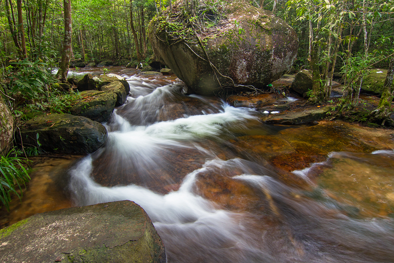 Trải Nghiệm Hoang Sơ & Độc Lạ Phú Quốc Không Phải Ai Cũng Biết Dịp Lễ 30/4 – 1/5 2026